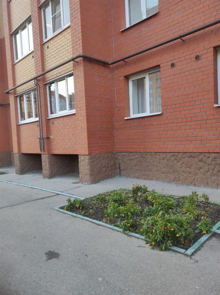 Студия ул Семчинская, д. 11 к 2