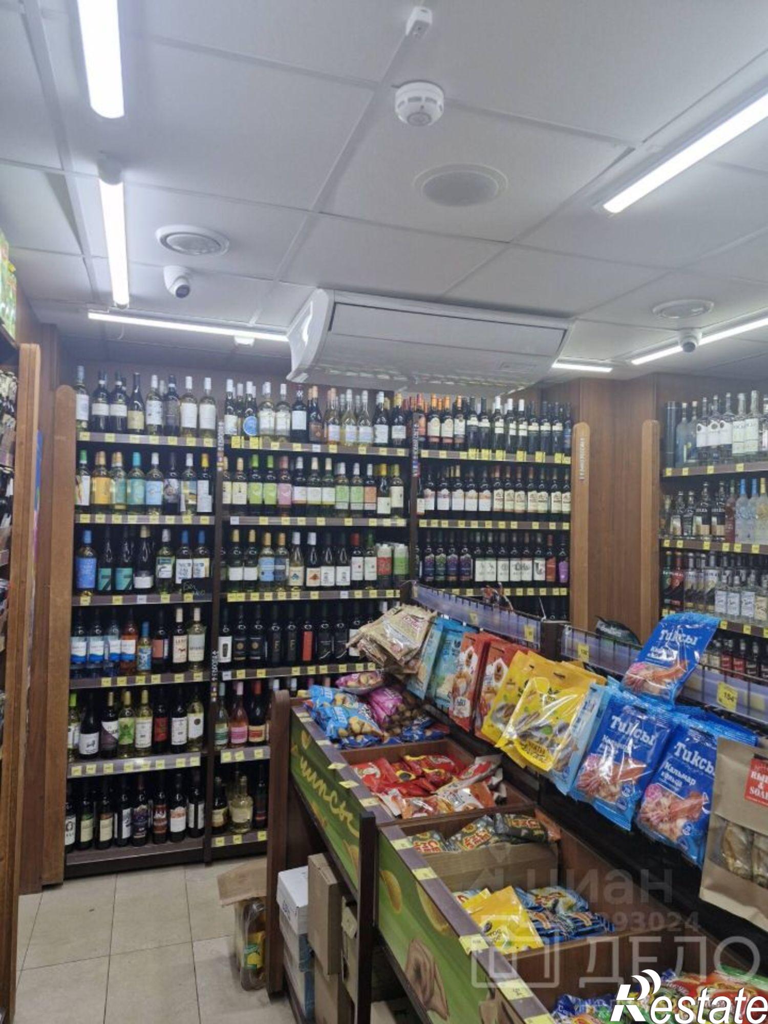 Купить торговое помещение за 13 981 100 рублей на Первомайский пр-кт, 53
