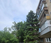 1-комн, 38кв м, этаж 2/5 пр-д Речников, 1б
